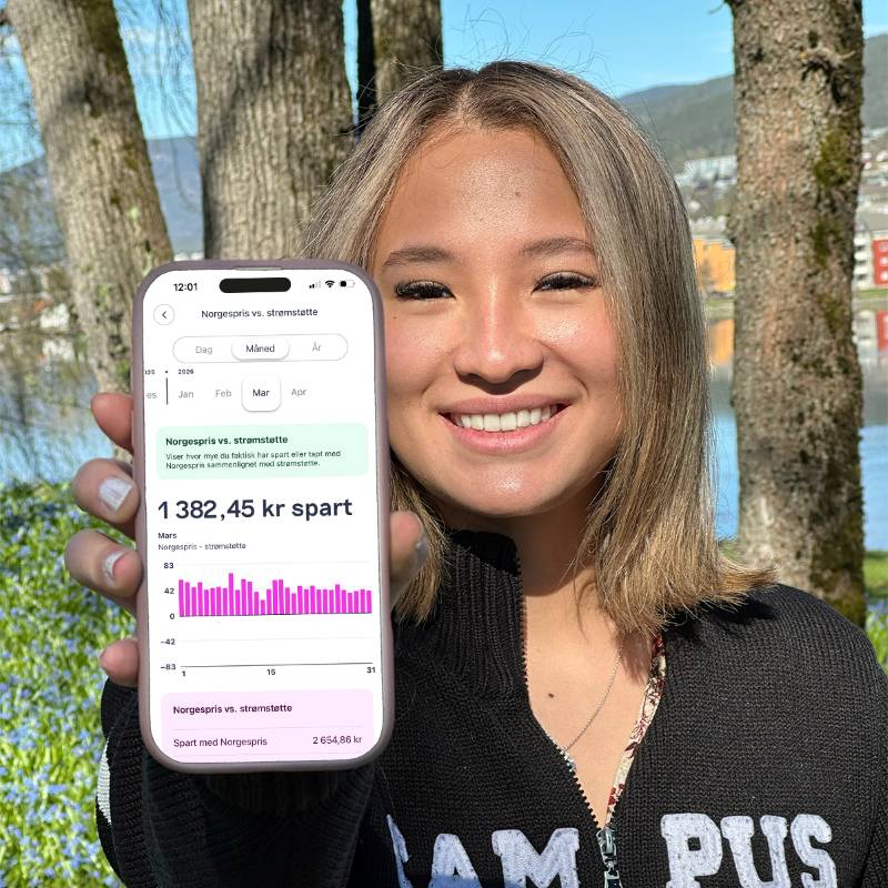 Michelle med Norgespris vs strømstøtte i Vibb-appen