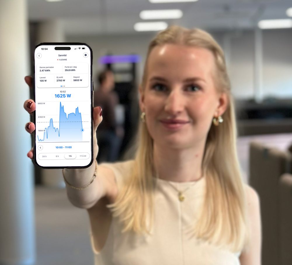 Kunderådgiver viser Sanntid i Vibb-appen